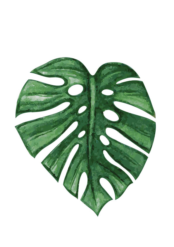 monstera leaf print | rachelle rachelle
